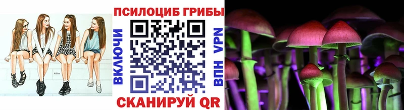 Галлюциногенные грибы Psilocybe  как найти закладки  Красноперекопск 